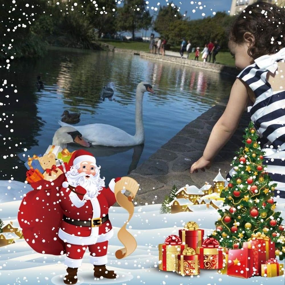 Meet your Posher, Nora